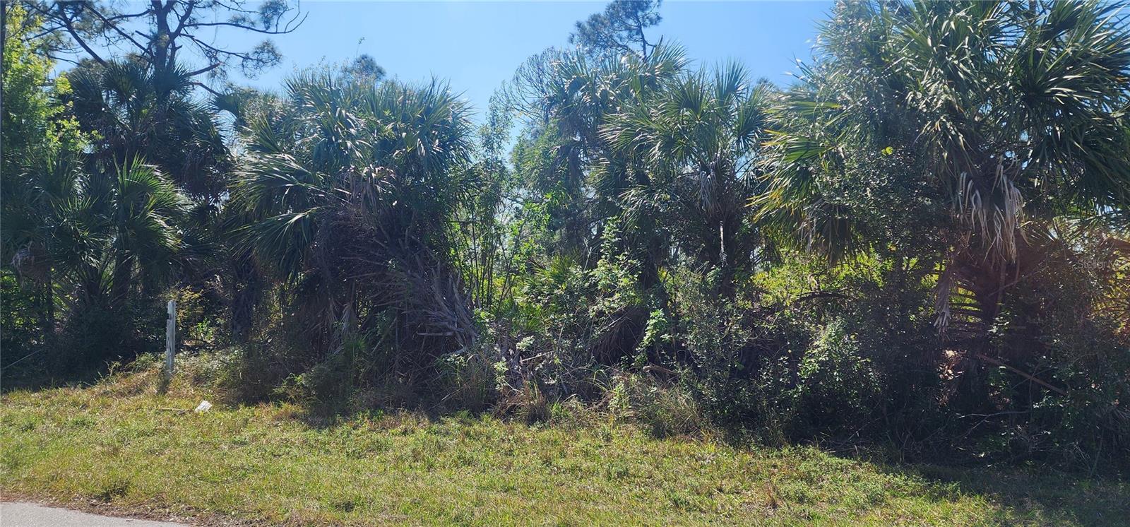 2157 Saipan Ln Property Photo 11
