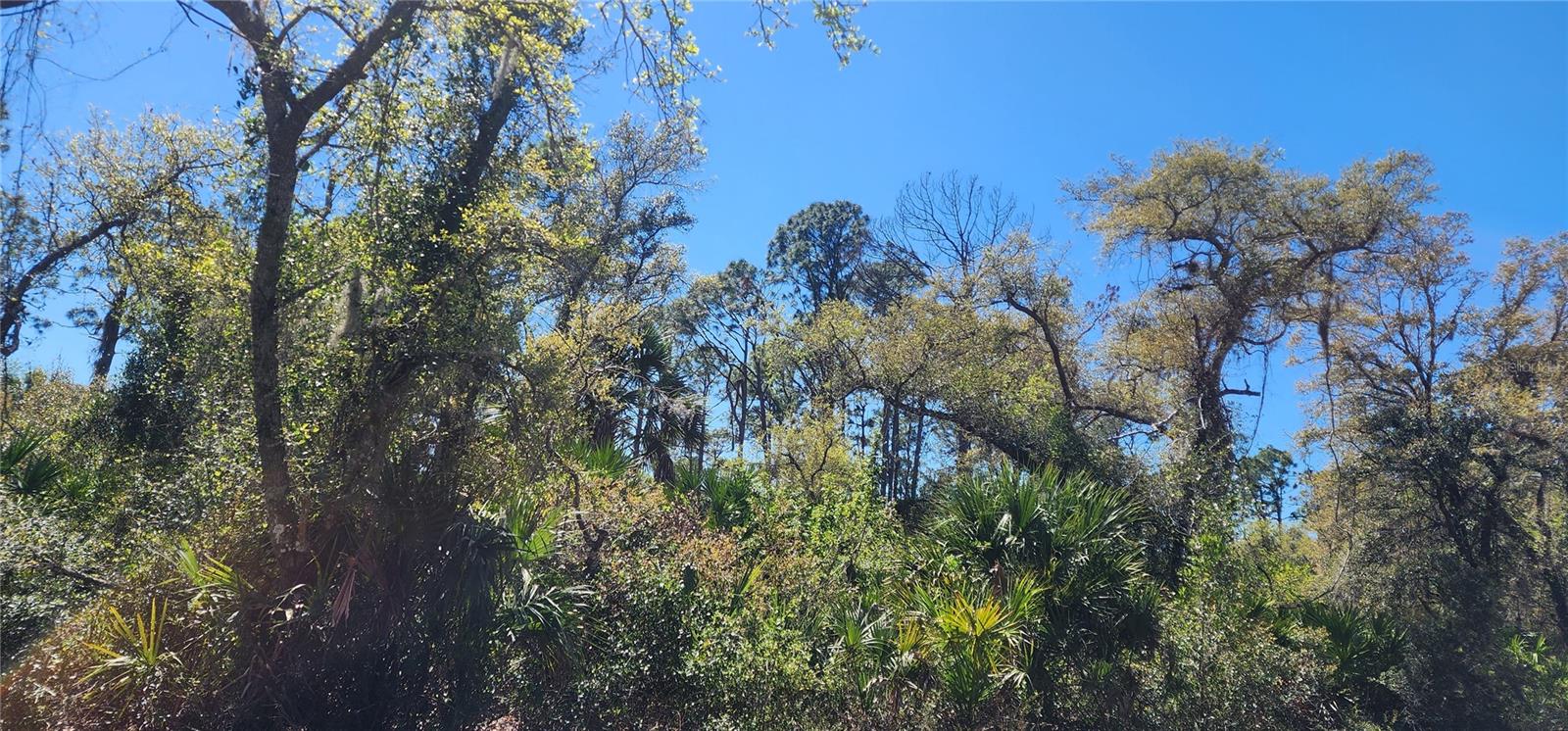 14051 Stanfield Ave Property Photo 11