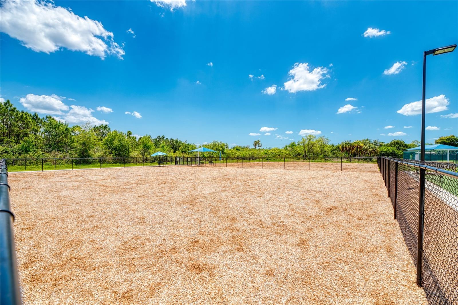 13217 Scrub Jay Ct Property Photo 67