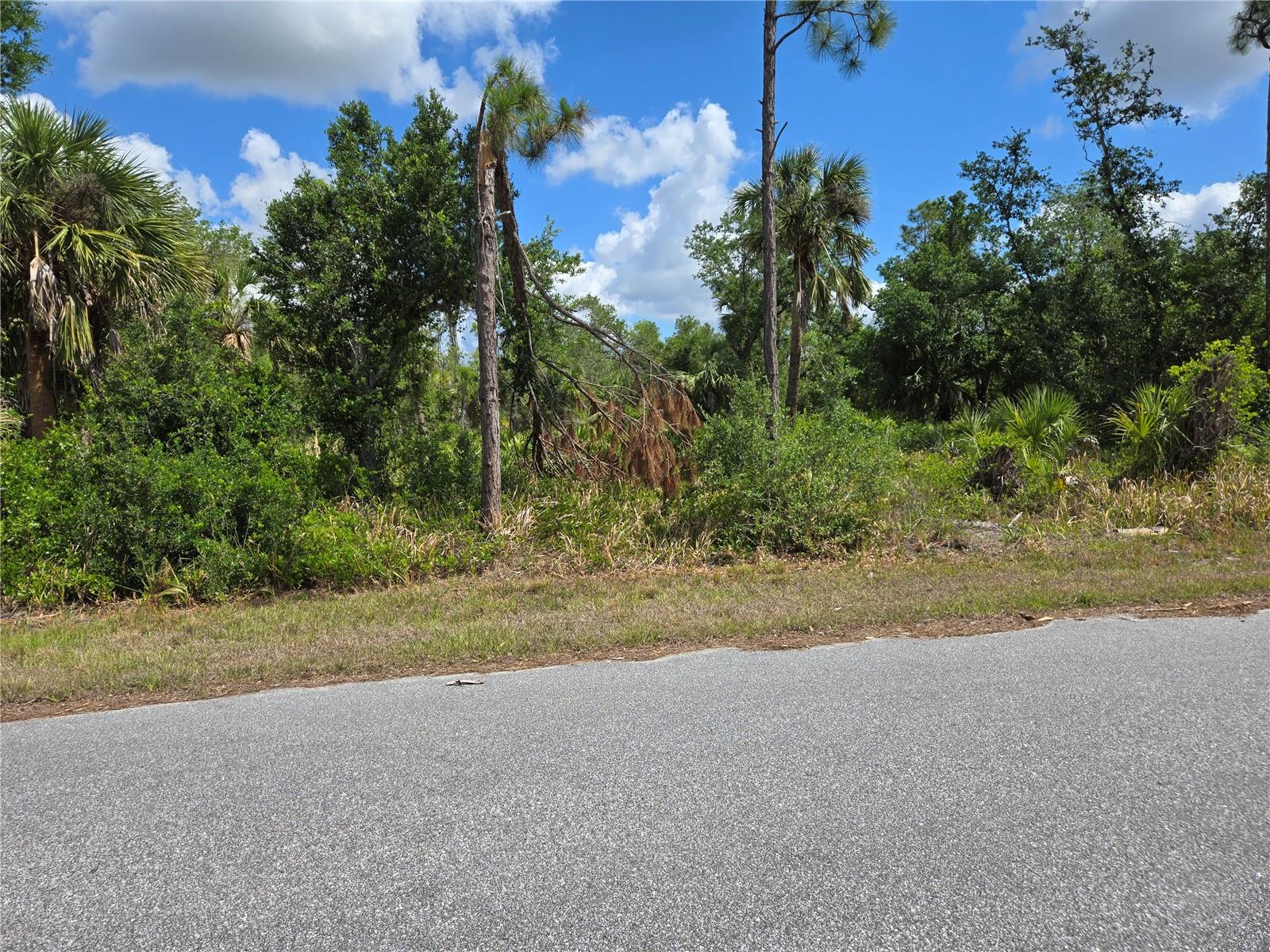 14432 Mcmillin Ave Property Photo 2