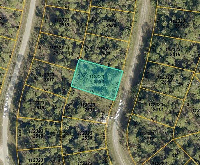 Lot 32 Block 2325 Bignay Rd Property Photo