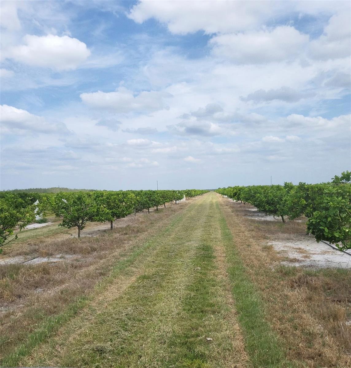 #40 Se Highway 31 Property Photo