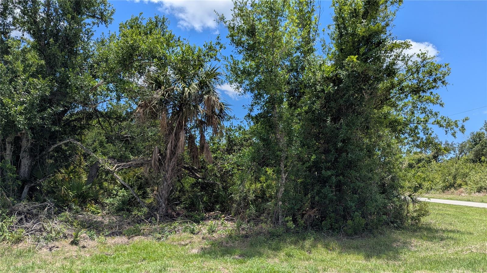 10017 Cocoa Beach St Property Photo 4