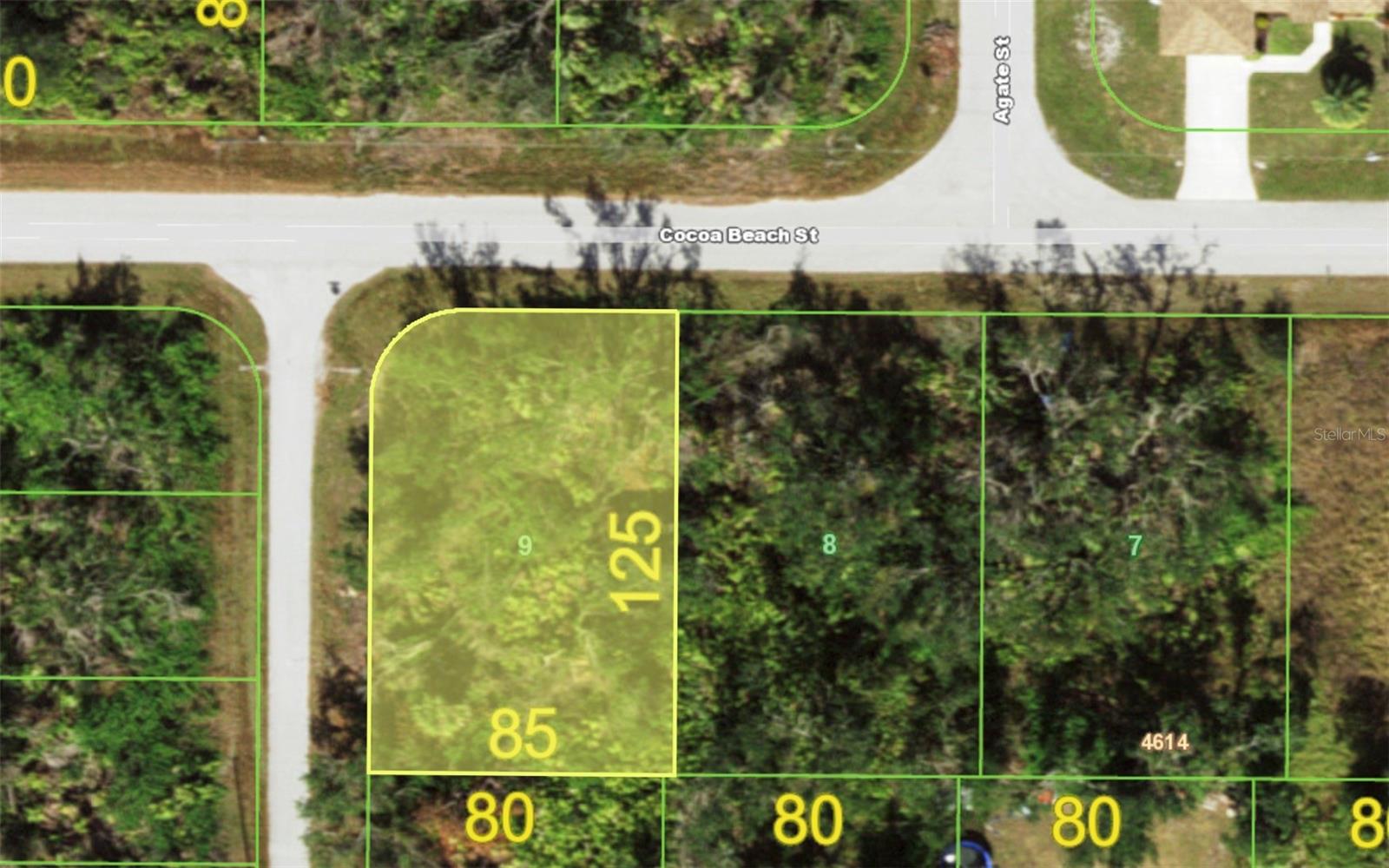 10017 Cocoa Beach St Property Photo 6