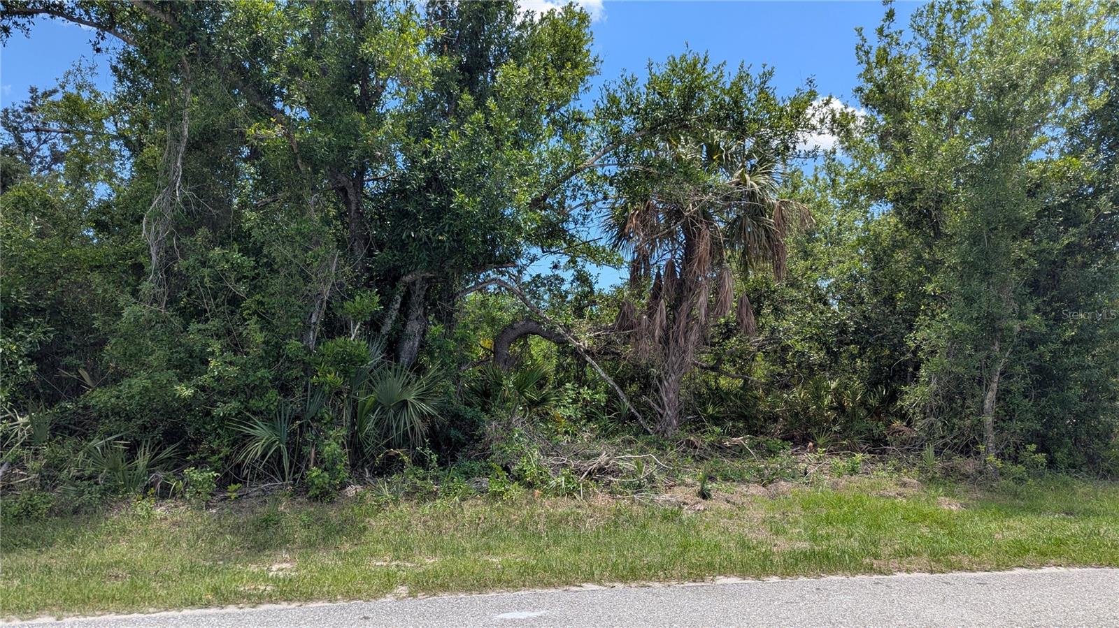 10017 Cocoa Beach St Property Photo 7