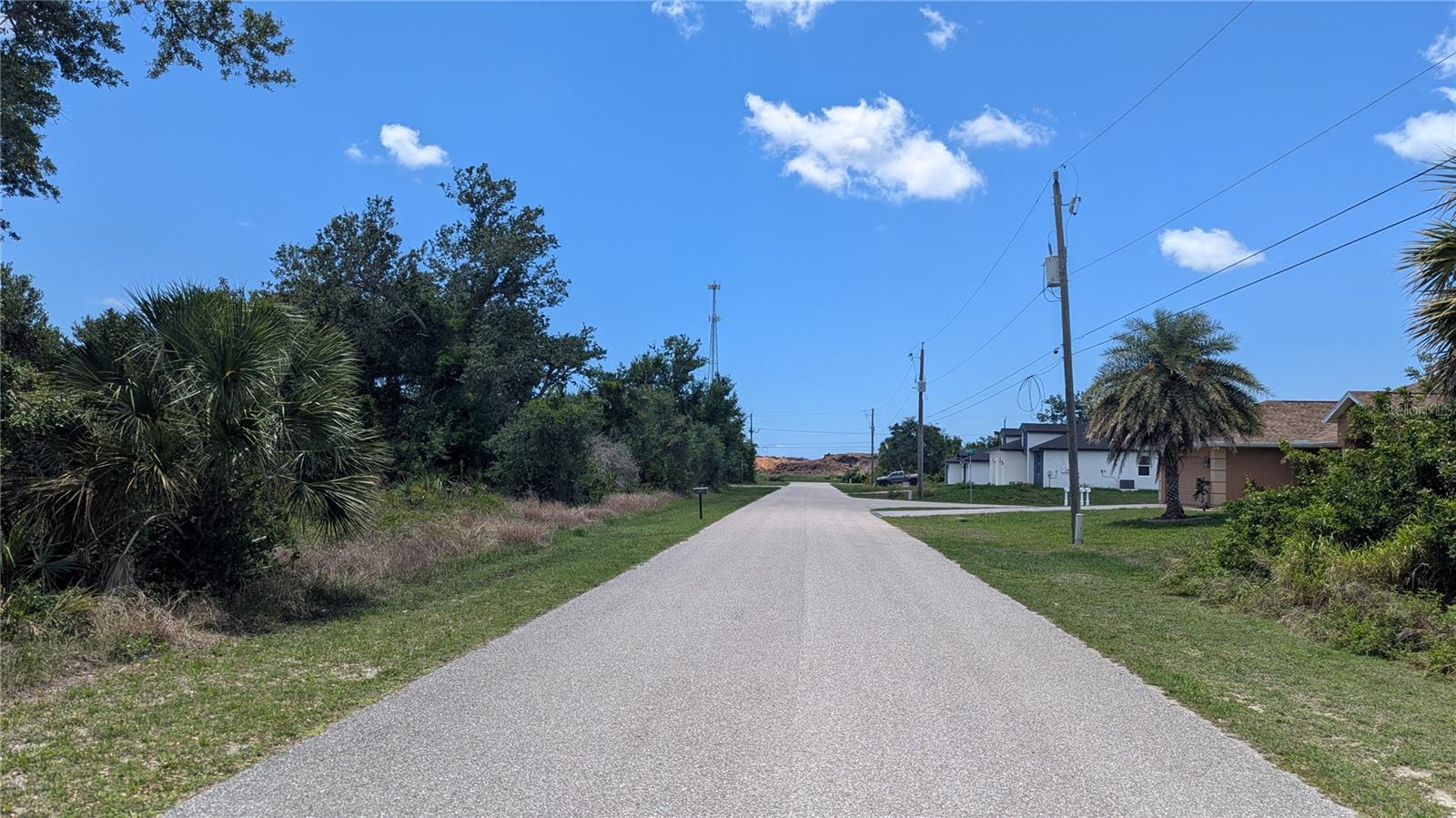 10017 Cocoa Beach St Property Photo 9