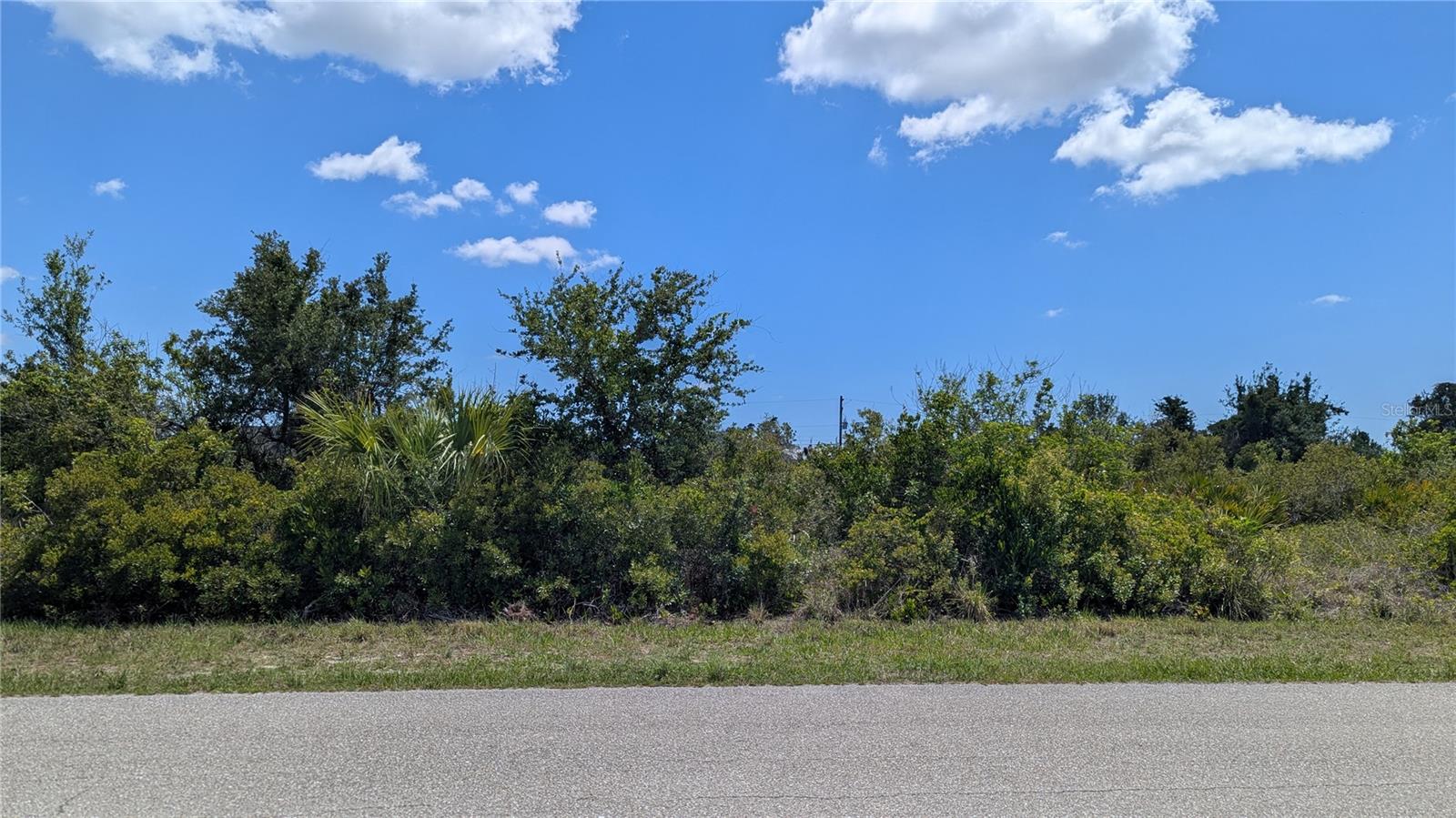13493 ABUTILON LN Property Photo 1