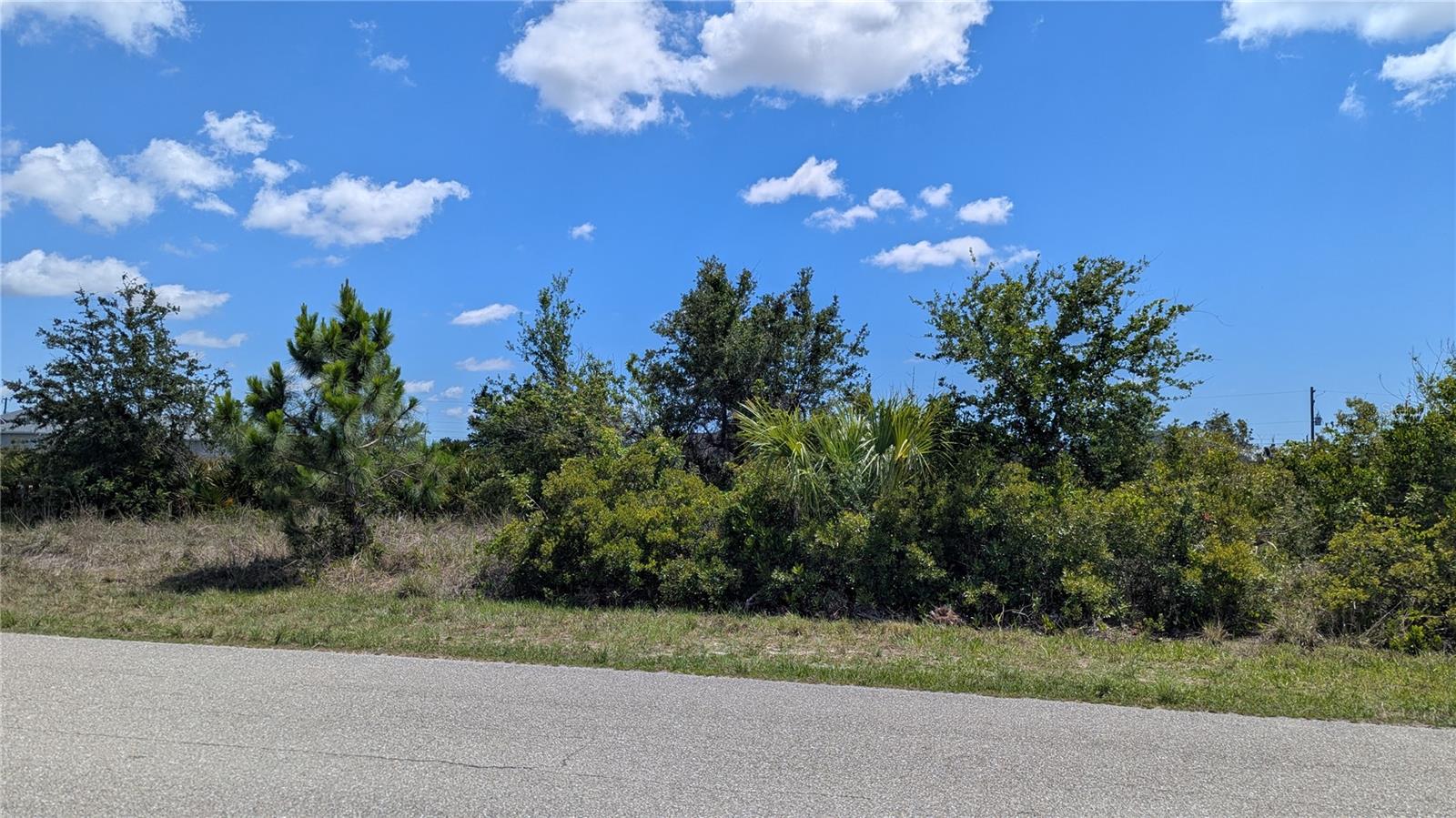 13493 Abutilon Ln Property Photo 2