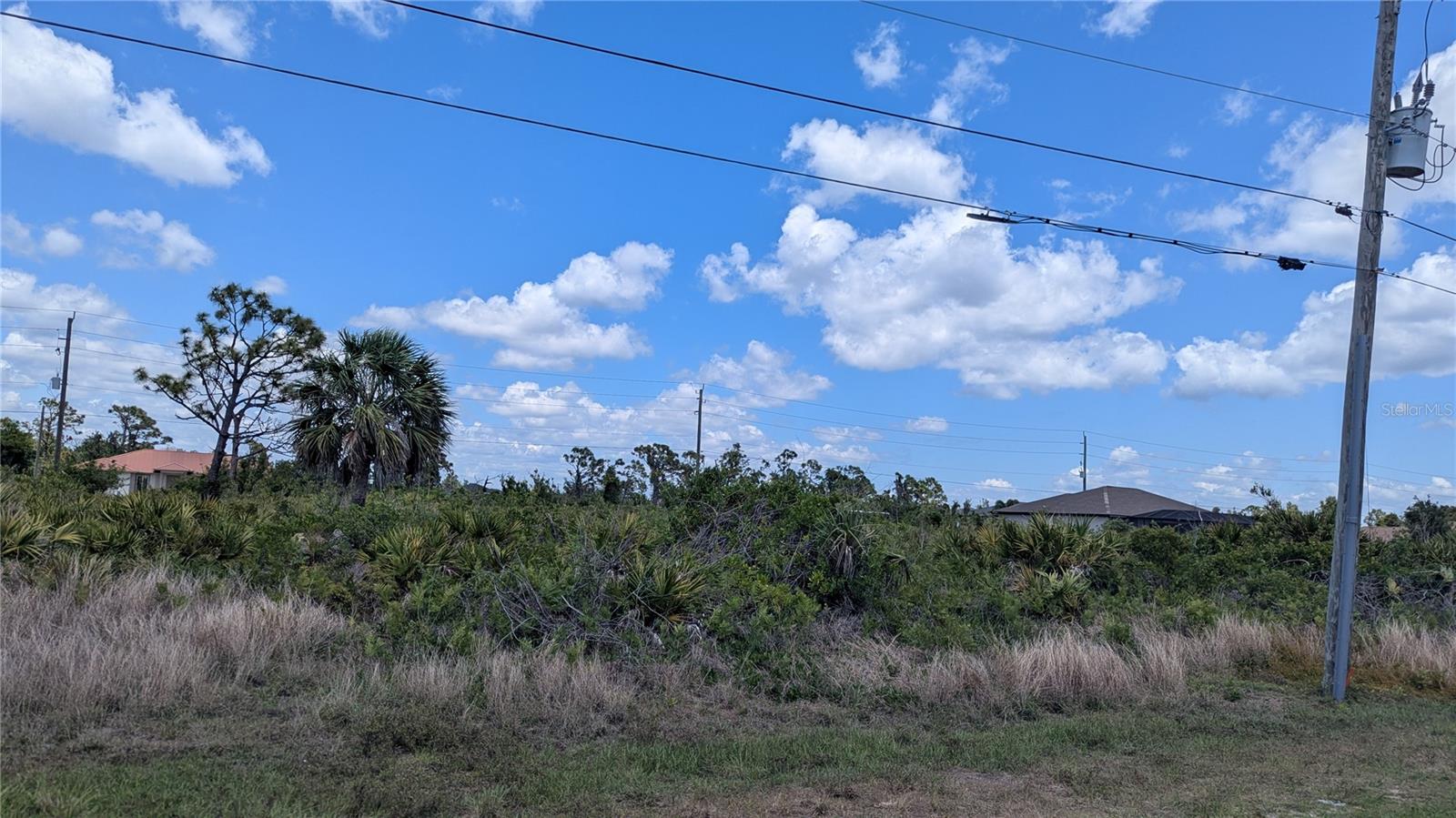 13474 Abutilon Ln Property Photo 2