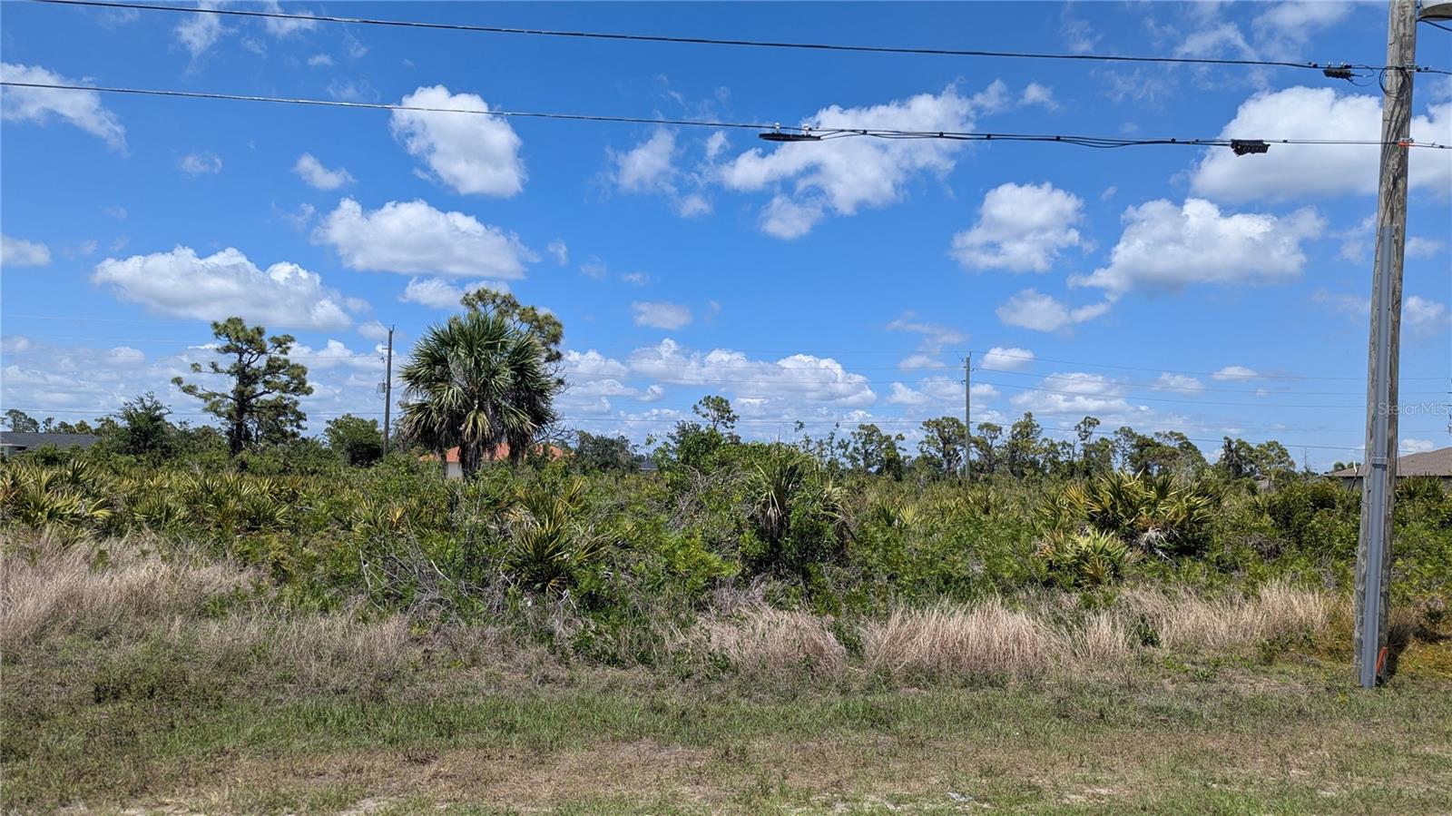 13474 Abutilon Ln Property Photo 3