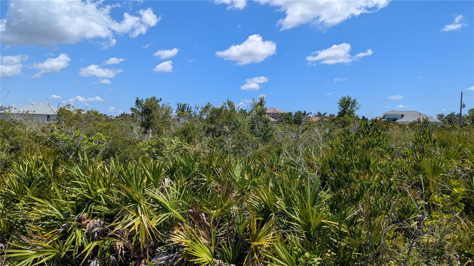 13485 Abutilon Ln Property Photo 3