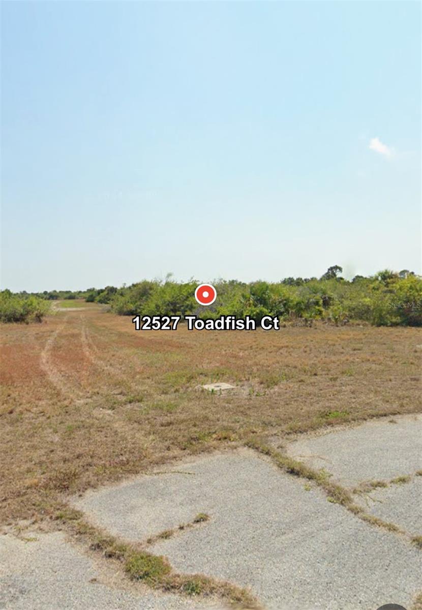 12527 TOADFISH CT Property Photo 1