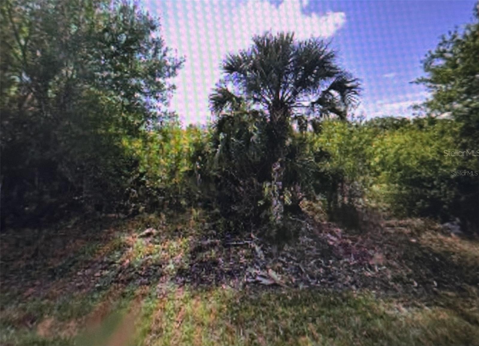11443 3RD AVE Property Photo 1