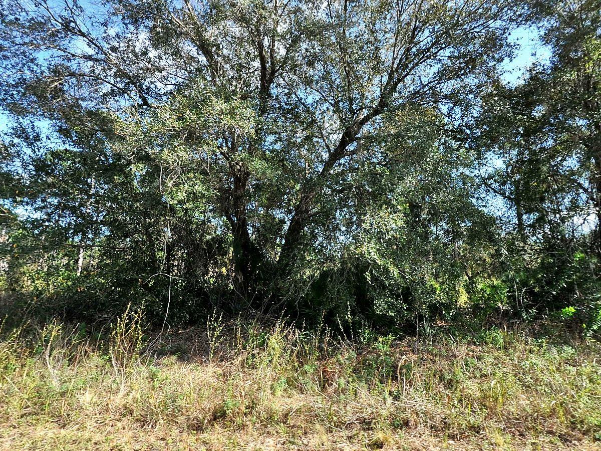LONGFELLOW LN Property Photo 1