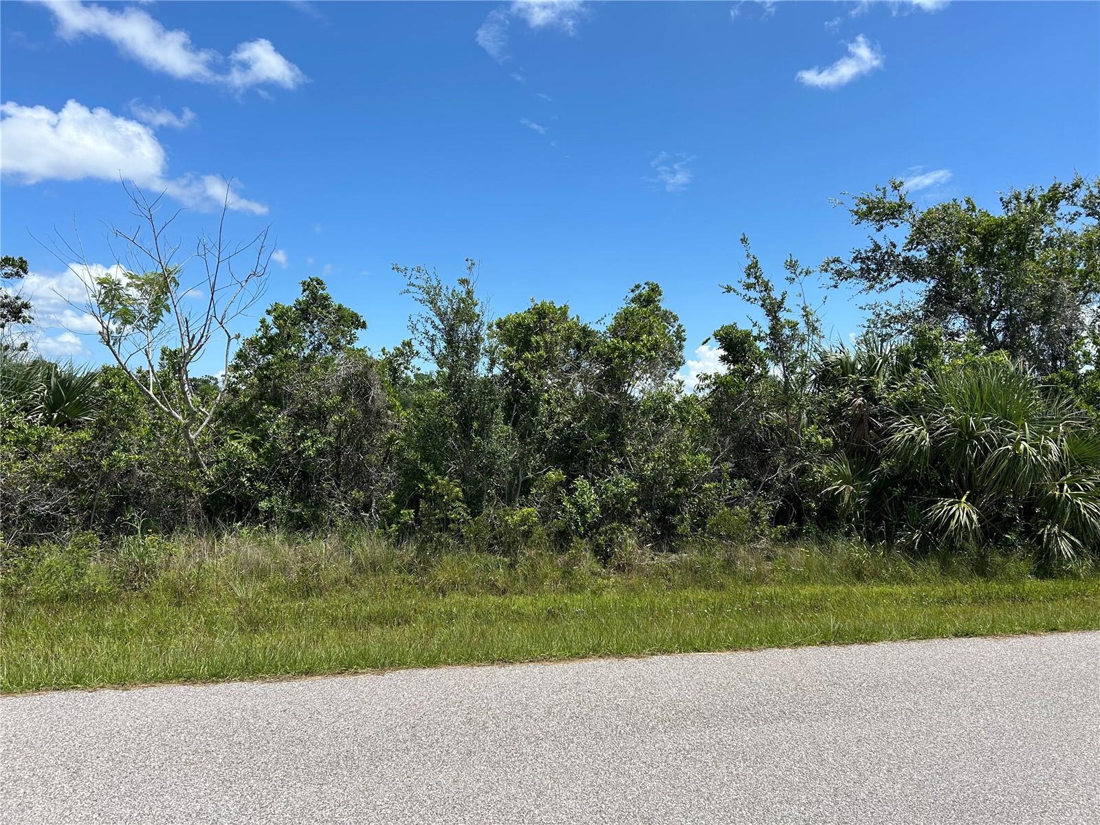 15649 Hennipen Cir Property Photo 3
