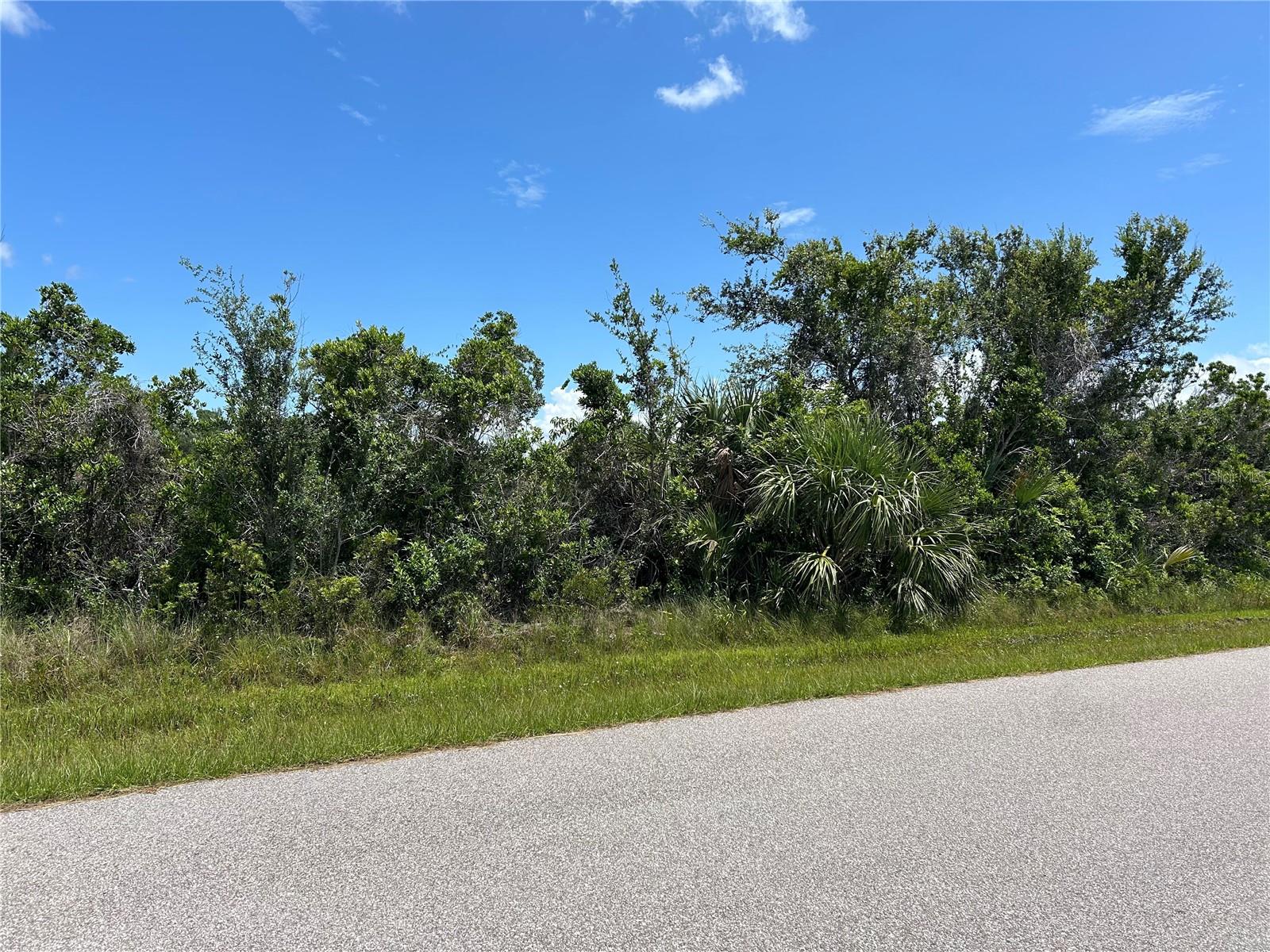 15649 Hennipen Cir Property Photo 4
