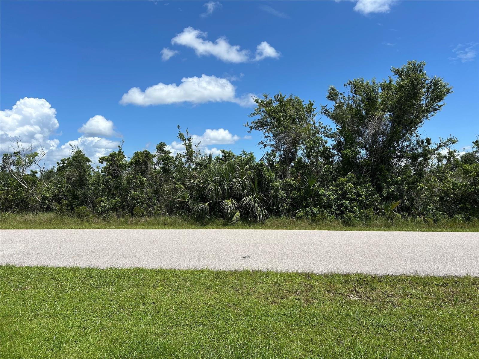 15649 Hennipen Cir Property Photo 7