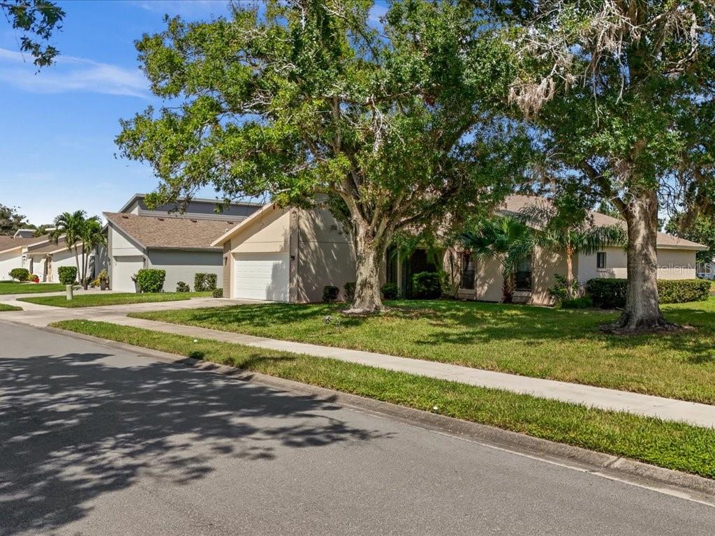 411 Cypress Forest Dr Property Photo 44