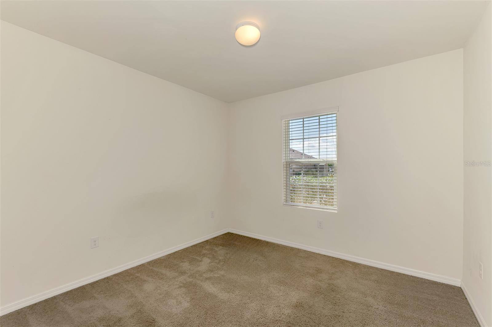 10476 Harlingen St Property Photo 19