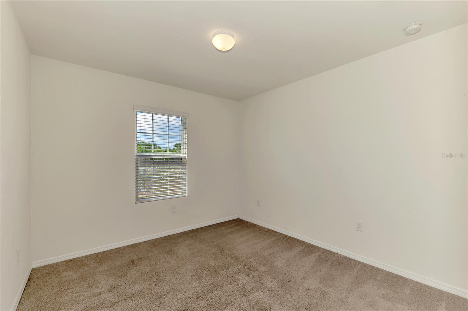 10476 Harlingen St Property Photo 21
