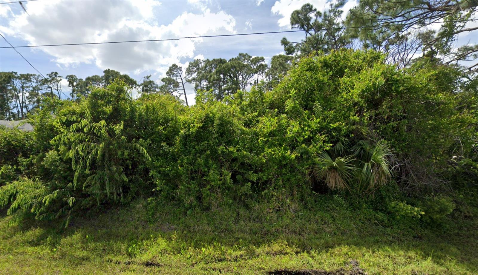 4481 Spire St Property Photo 4