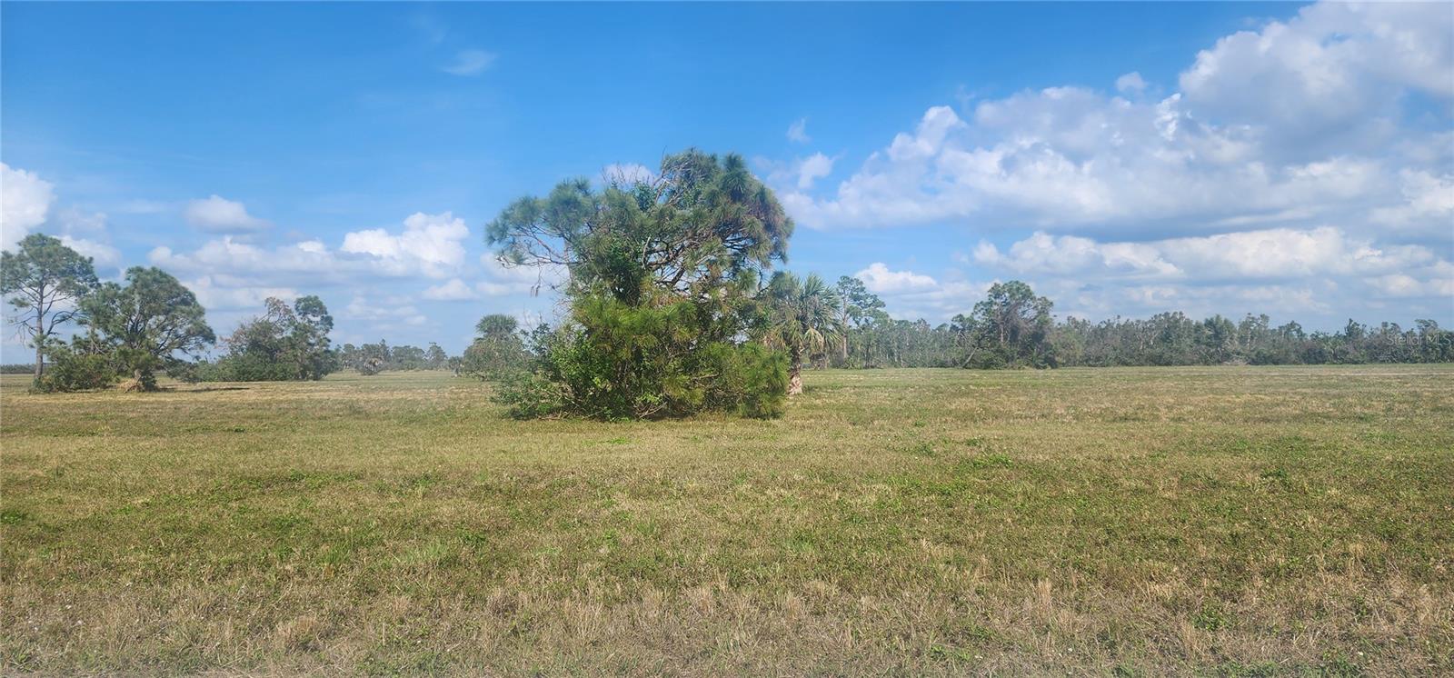 13014 Emerald Rd Property Photo 8