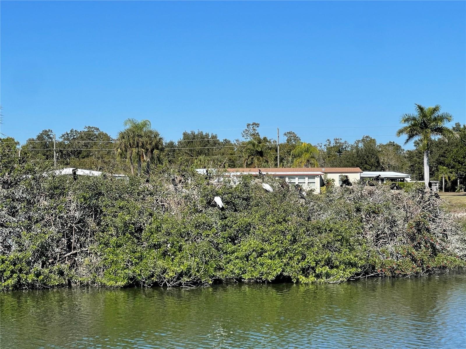 1303 Sanderling Dr Property Photo 15