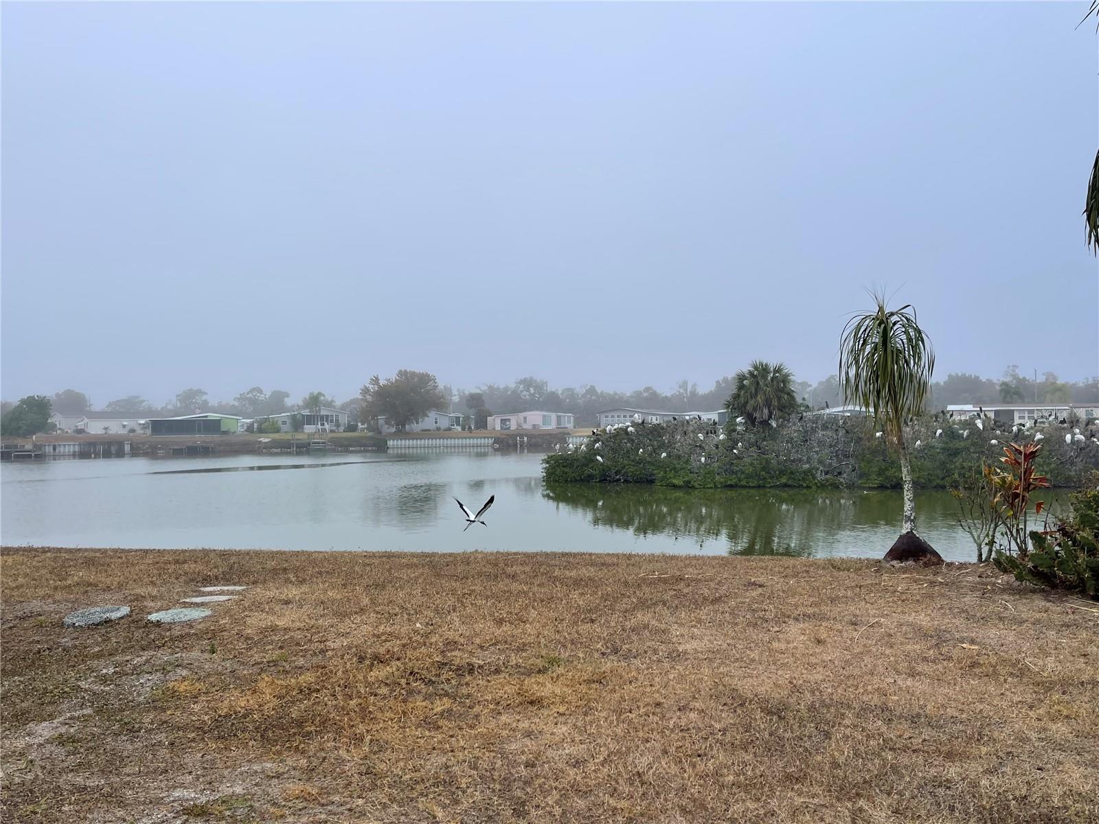 1303 Sanderling Dr Property Photo 19