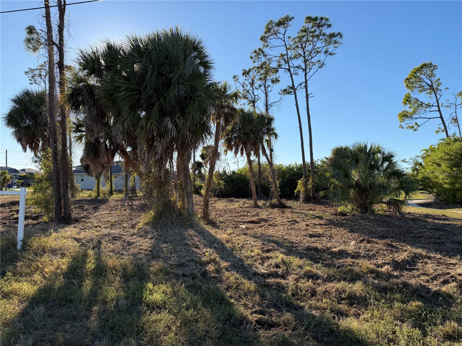 2 Pine Valley Pl Property Photo 6