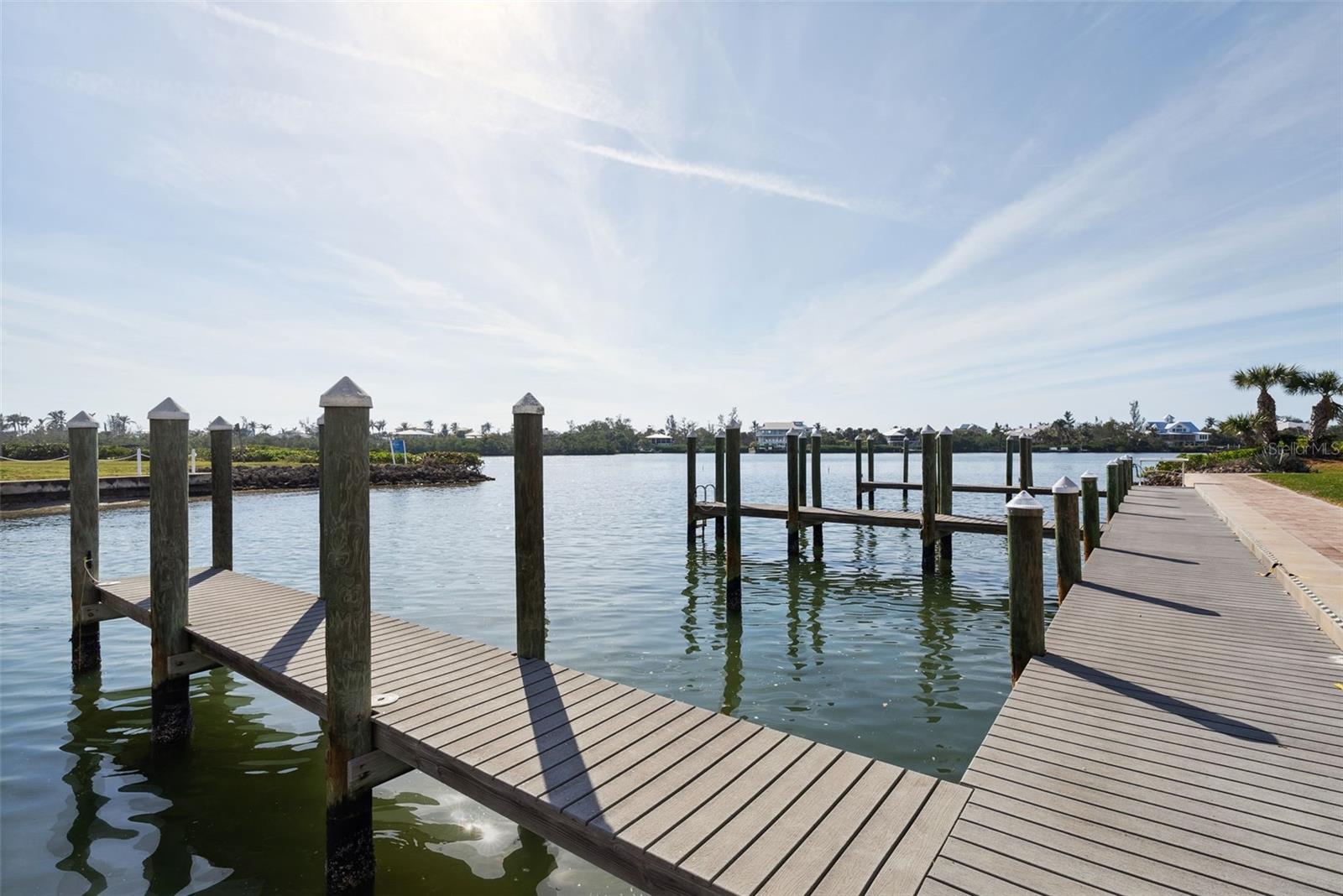 11120 Hacienda Del Mar Blvd #f-205 Property Photo 44