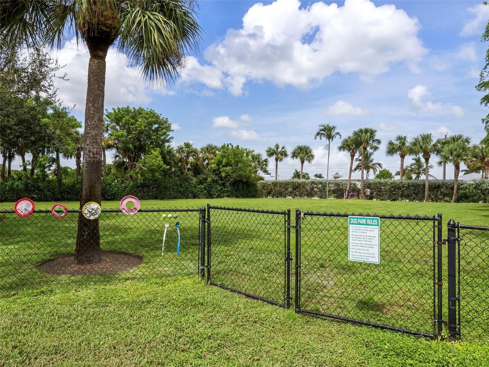11120 Hacienda Del Mar Blvd #f-205 Property Photo 53