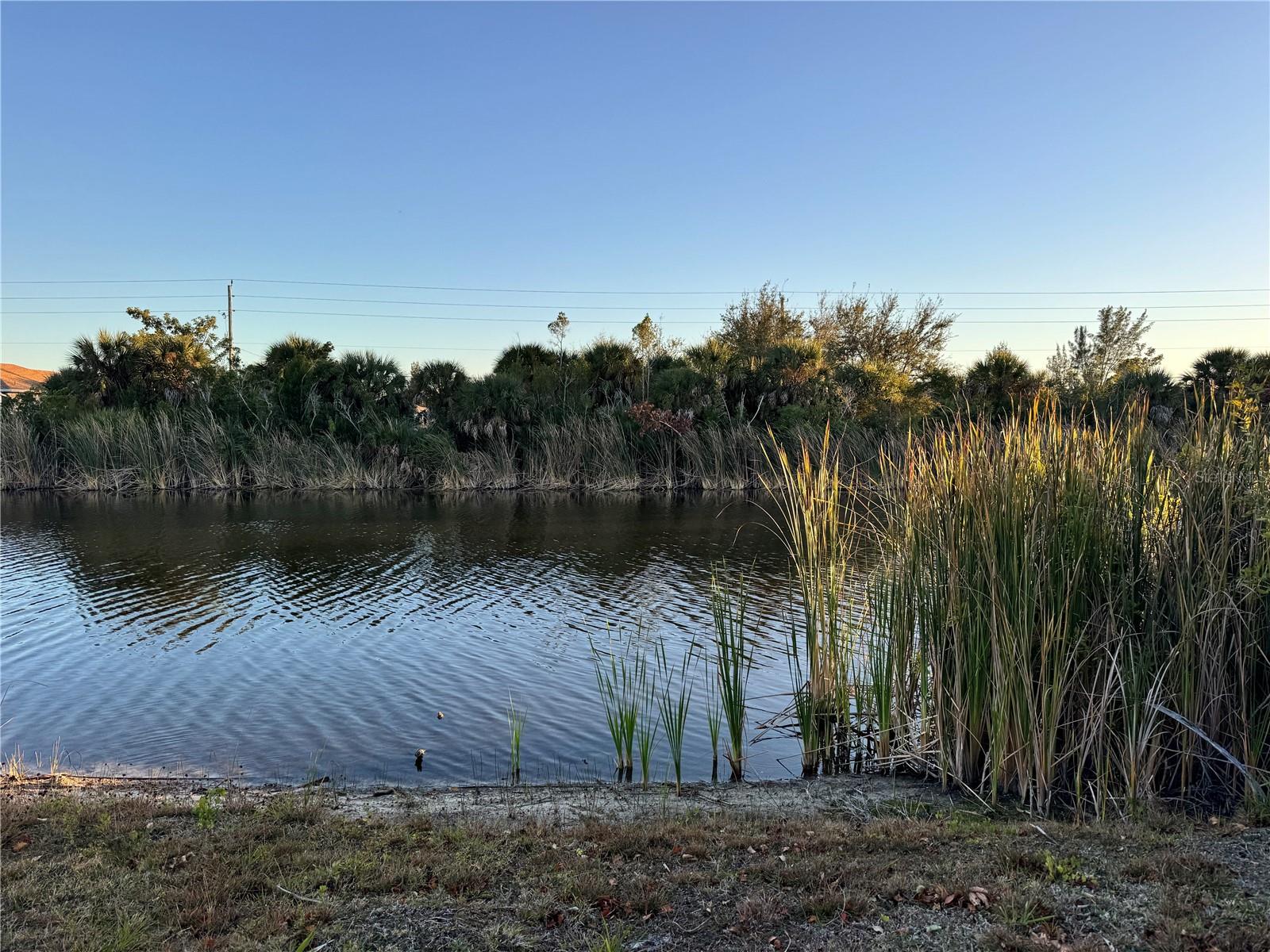15512 Lakeland Cir Property Photo 6