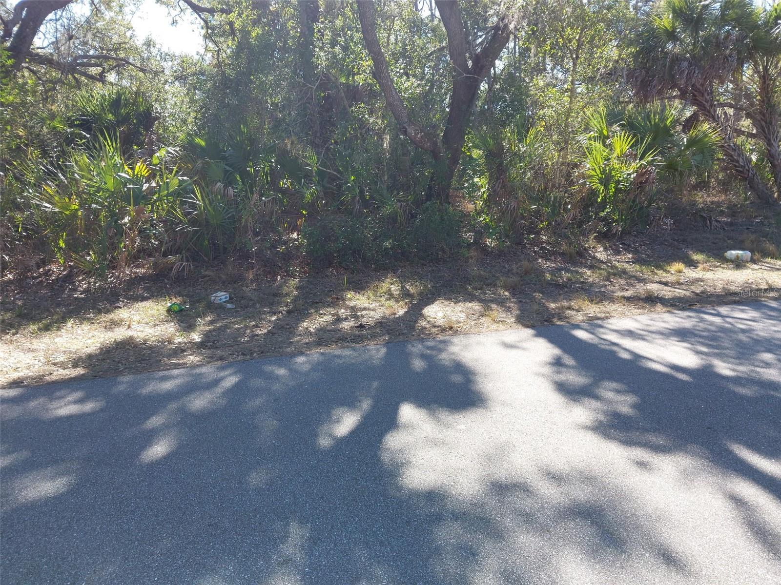 343 BAMBOO DRIVE
