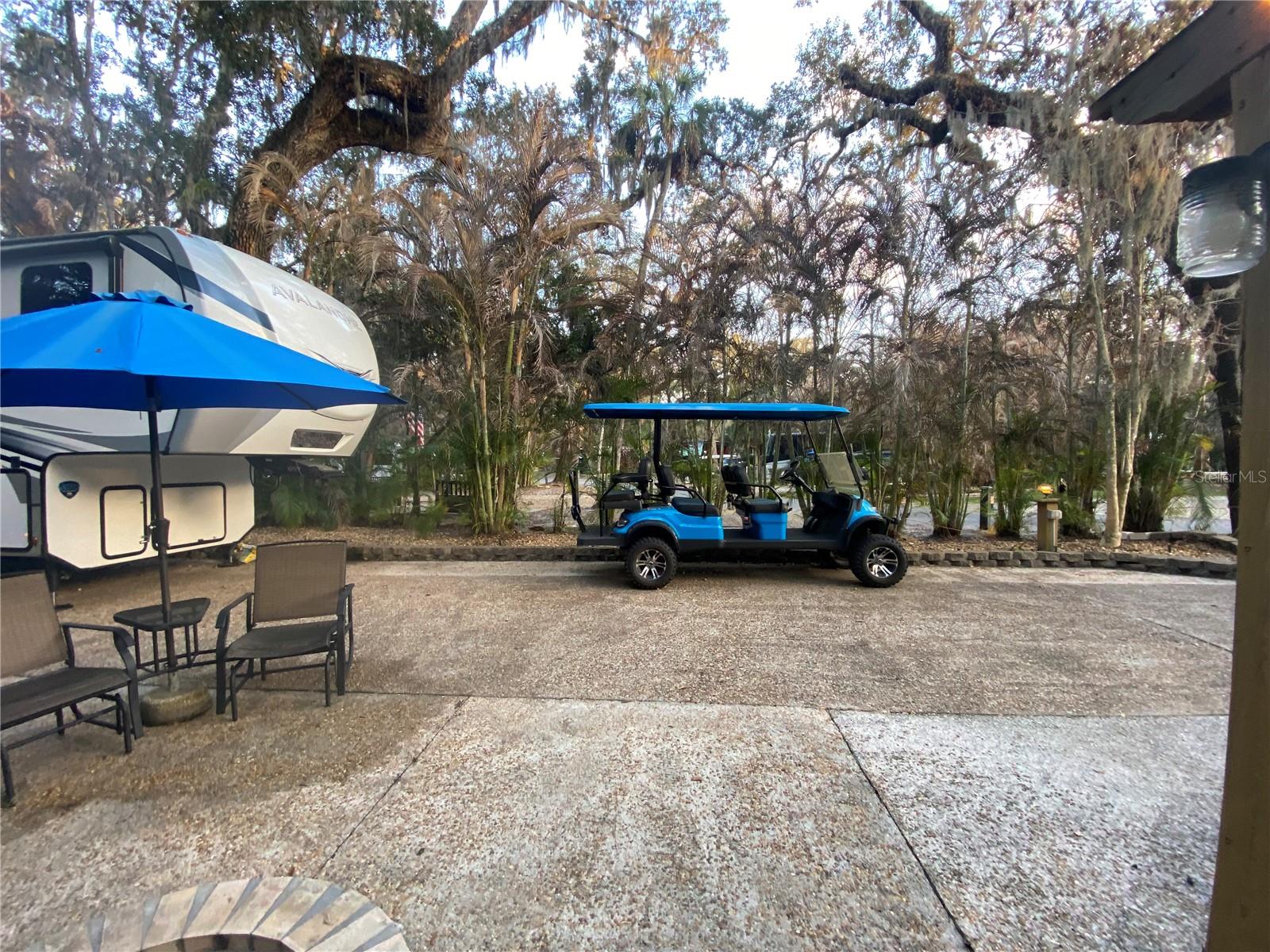 313 Gator Aly Property Photo 4
