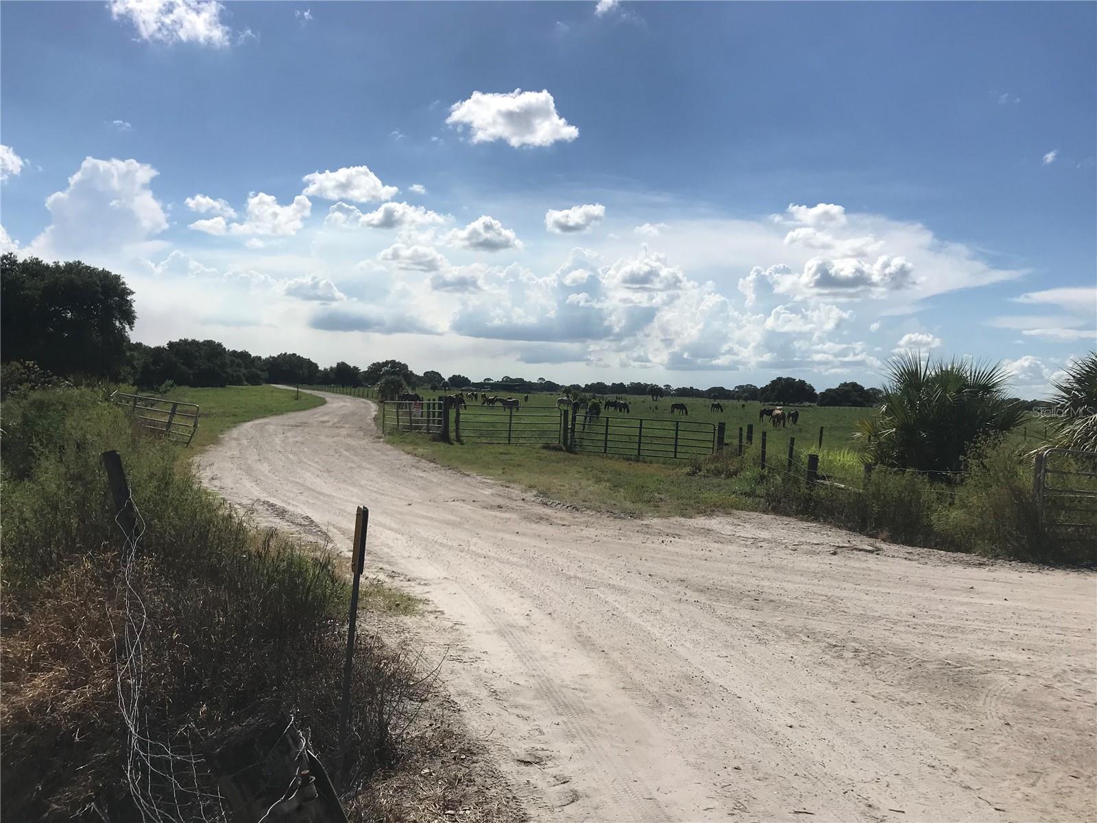 313 Gator Aly Property Photo 9