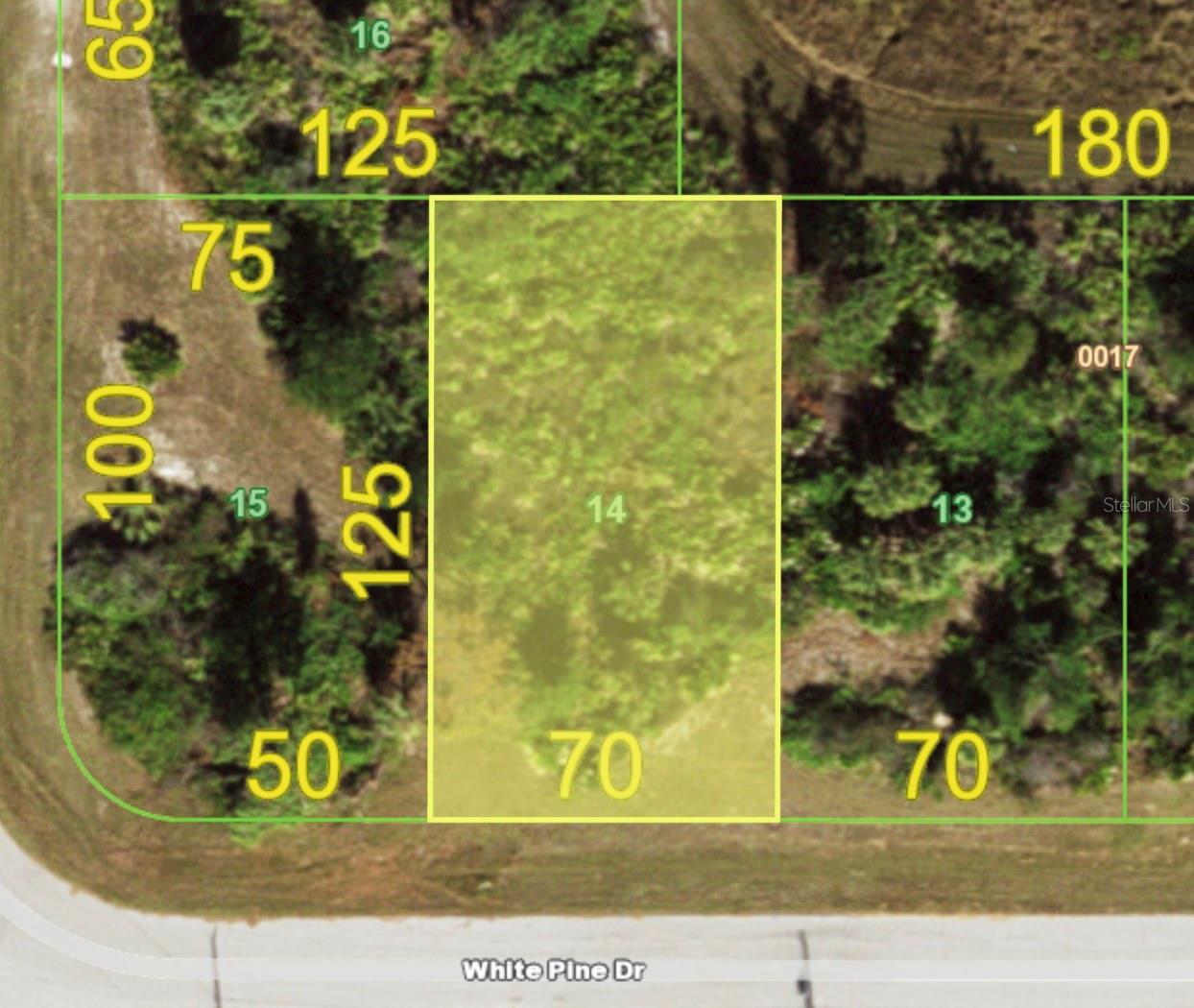 155 WHITE PINE DR Property Photo 1