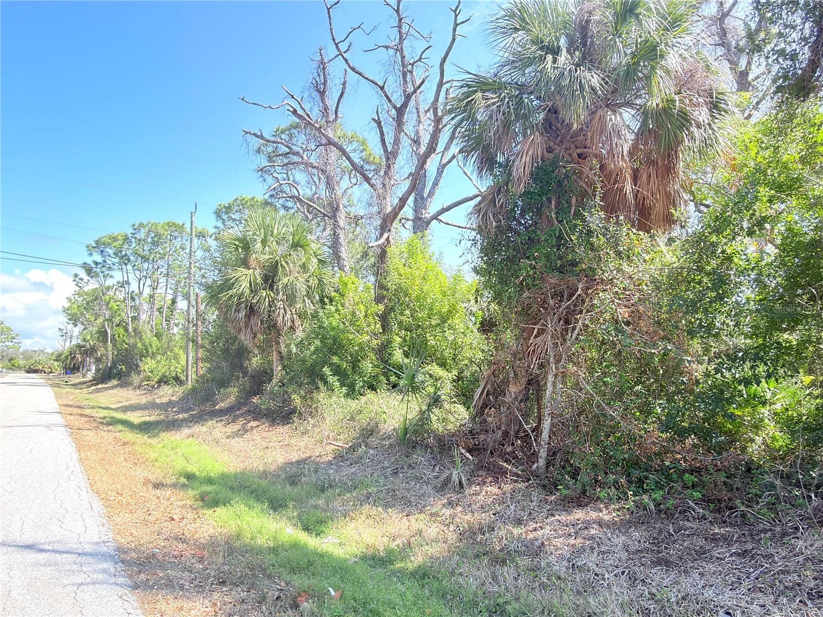2801 12th St Property Photo 5
