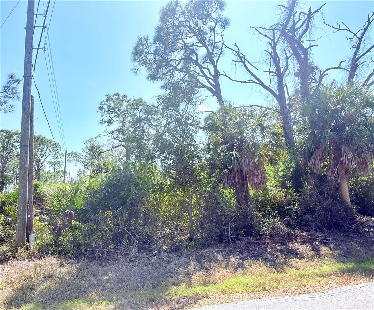 2801 12th St Property Photo 6