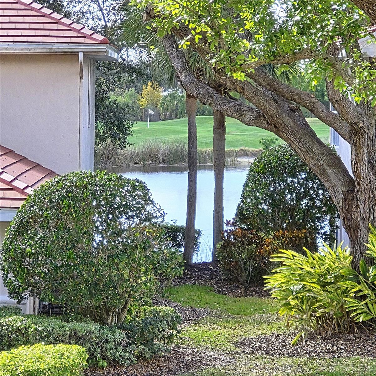 14016 Willow Glen Ct #212 Property Photo 50