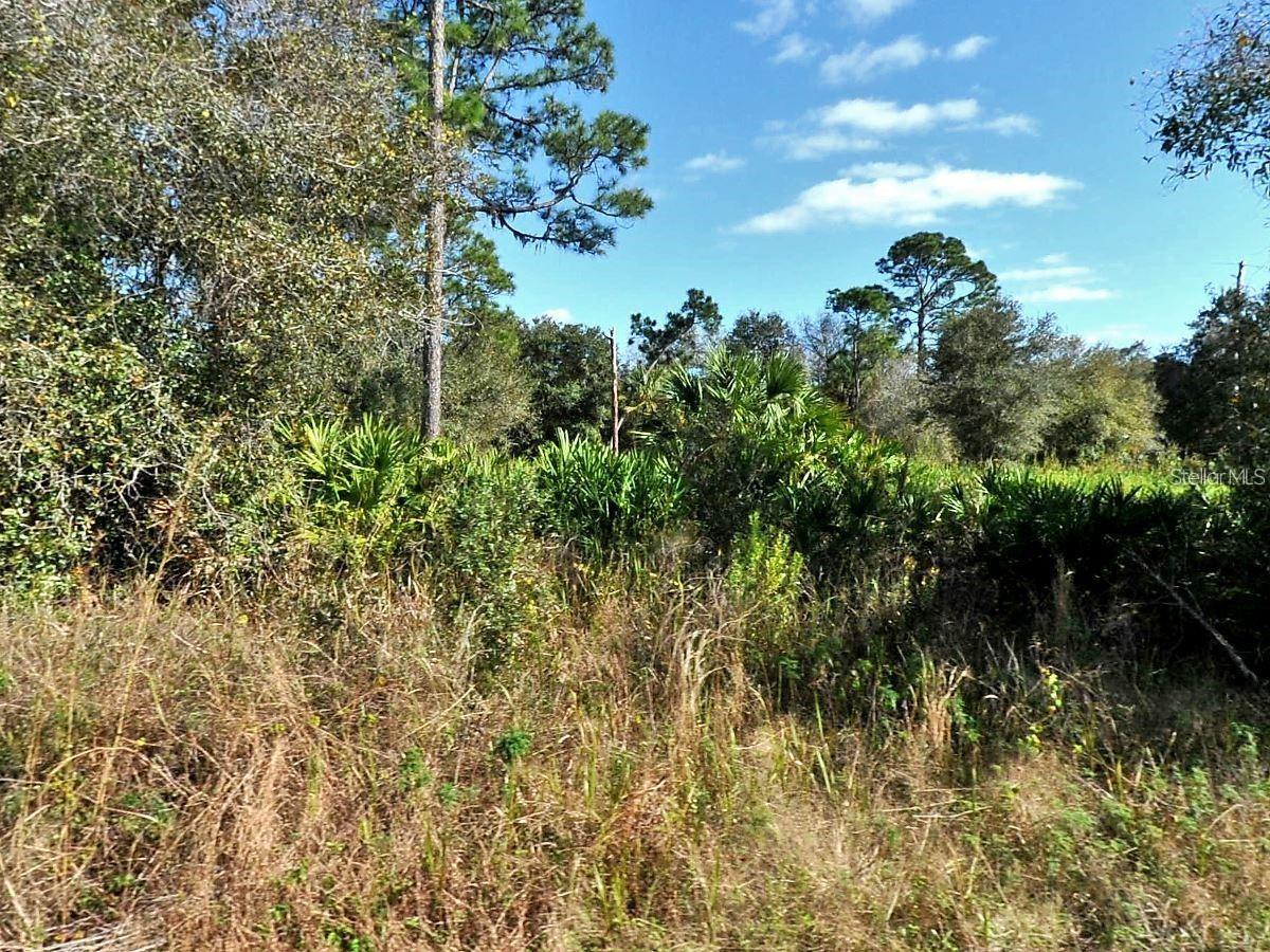 Longfellow Ln Property Photo 3