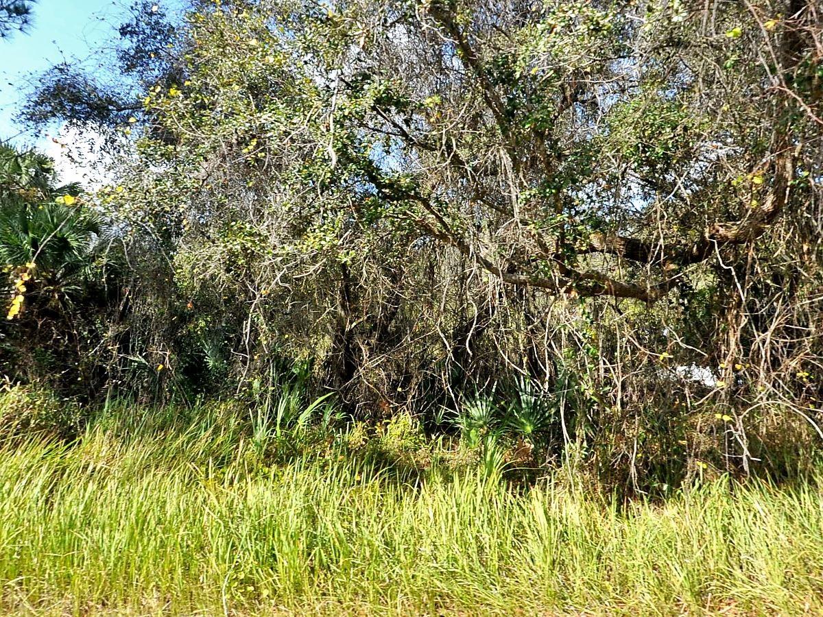 Kacher Rd Property Photo 1