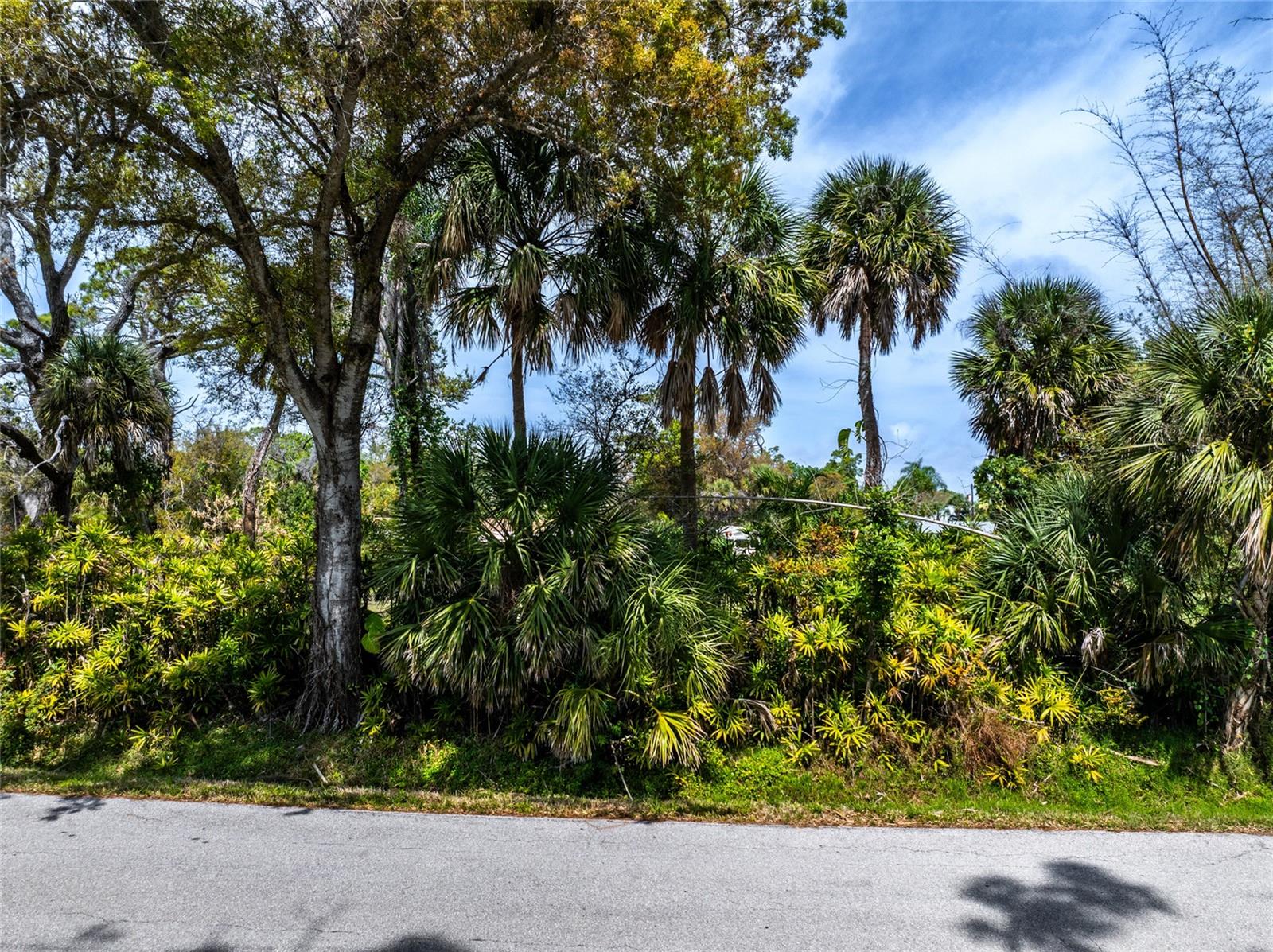 Pineapple St Property Photo 14