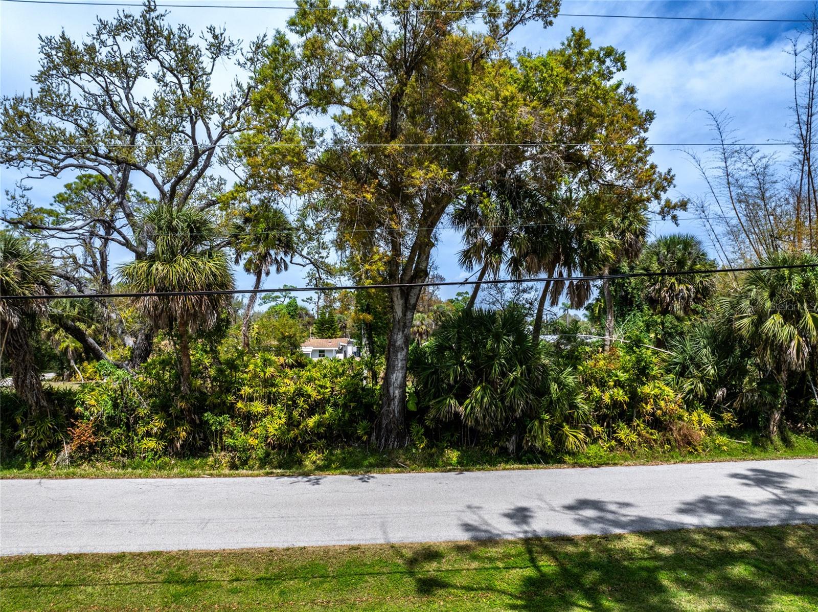 Pineapple St Property Photo 15