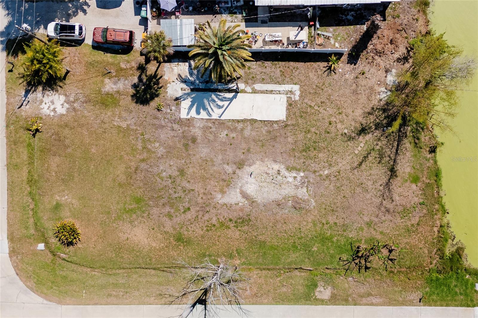 8195 Pine Tree Lane Property Photo 4
