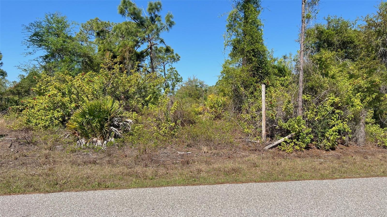 4397 Kennel St Property Photo 1