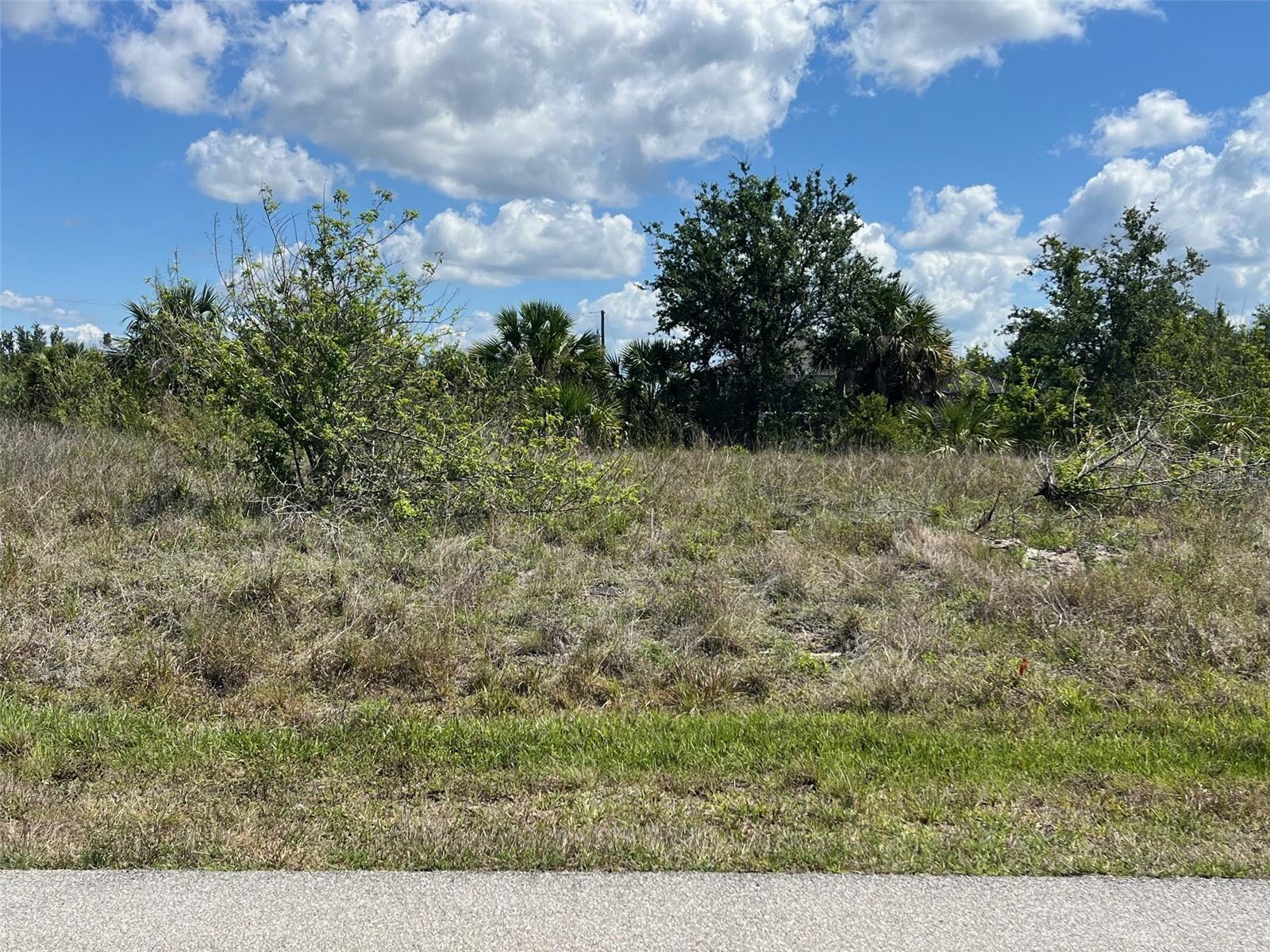 13598 ALLAMANDA CIR Property Photo 1