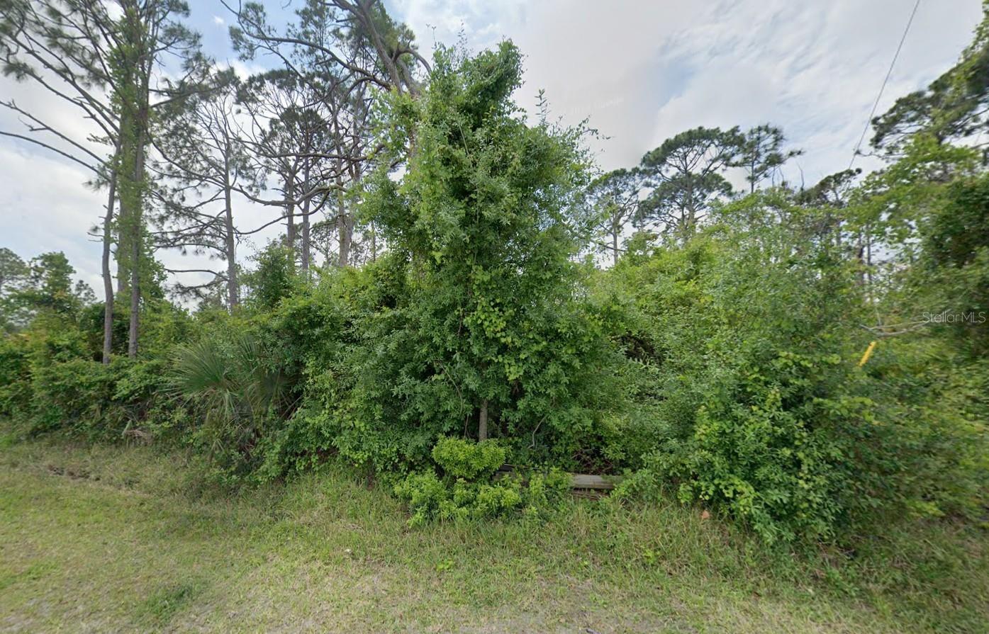 12519 Patsy Ave Property Photo 3