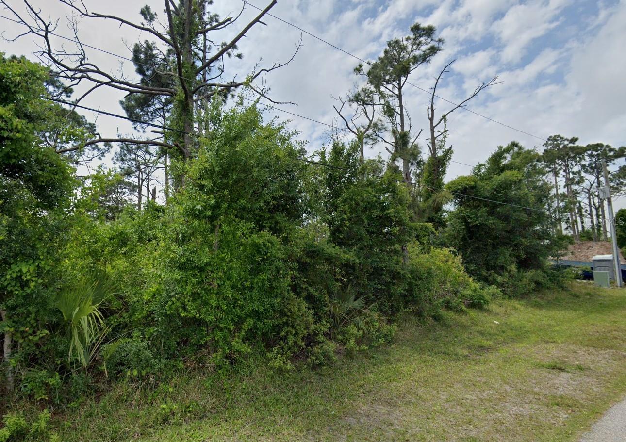 12519 Patsy Ave Property Photo 4