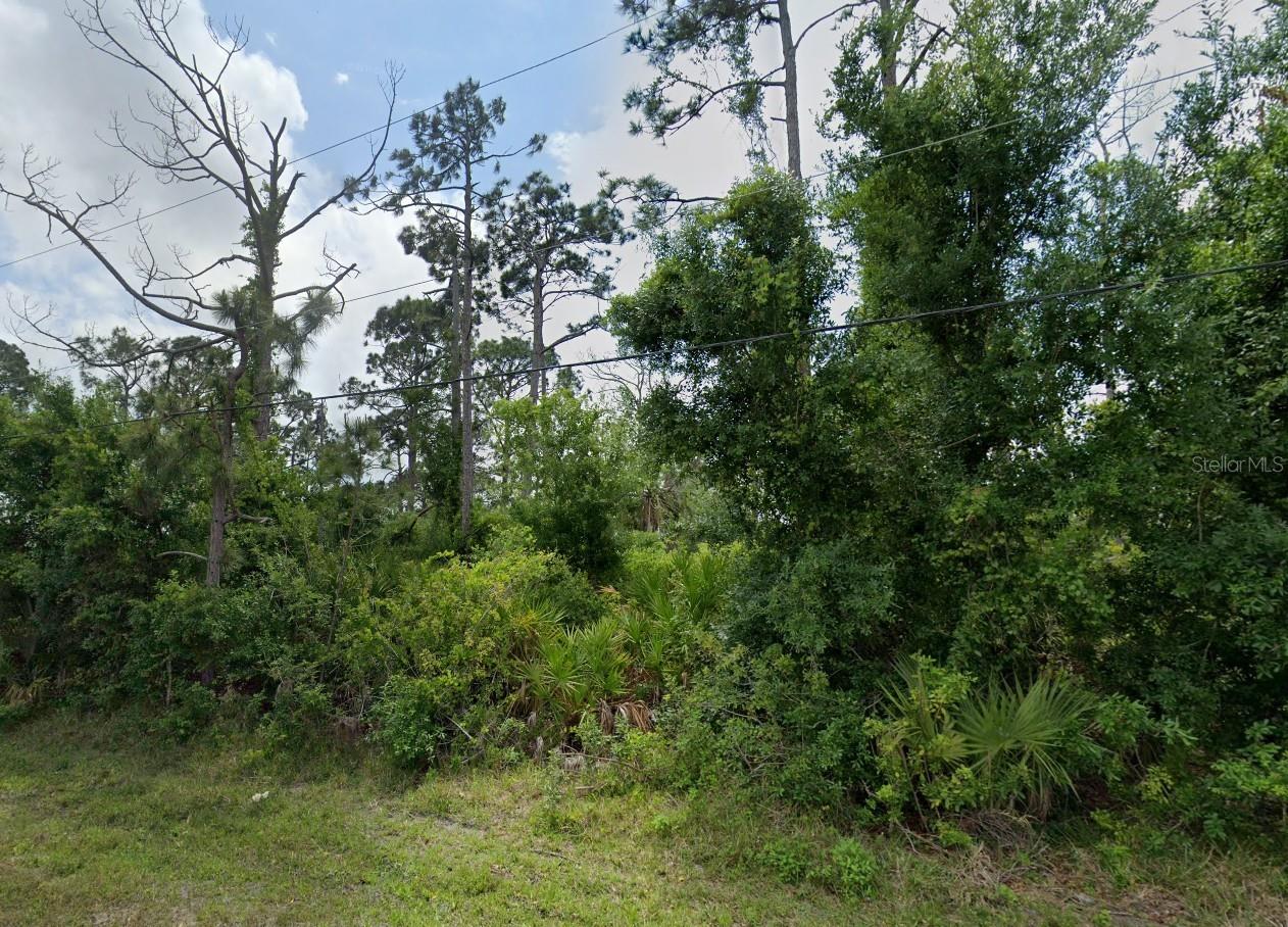 12519 Patsy Ave Property Photo 5