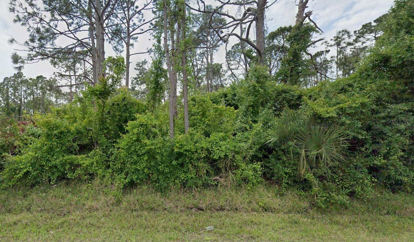 12519 Patsy Ave Property Photo 6
